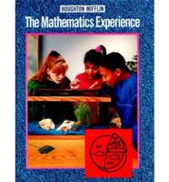 The Mathematics Experience