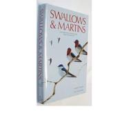 Swallows & Martins