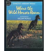Where the Wild Horses Roam