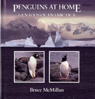 Penguins at Home