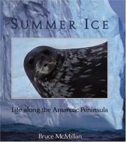 Summer Ice