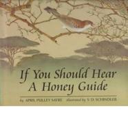 If You Should Hear a Honey Guide