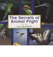The Secrets of Animal Flight