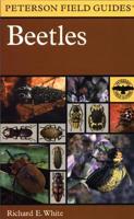 A Field Guide to the Beetles