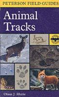 Animal Tracks