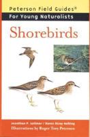 Shorebirds