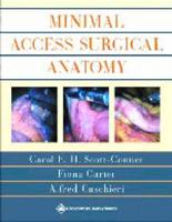 Minimal Access Surgical Anatomy