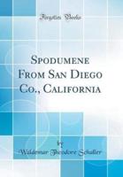 Spodumene from San Diego Co., California (Classic Reprint)