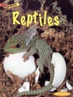 Reptiles