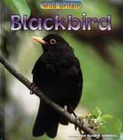 Blackbird. Guided Reading Pack
