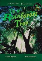 Up a Rainforest Tree Big Book