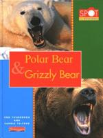 Polar Bear & Grizzly Bear