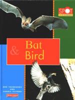 Bat & Bird