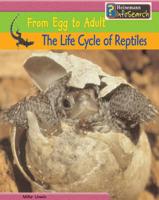 The Life Cycle of Reptiles