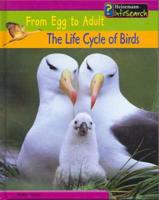 The Life Cycle of Birds