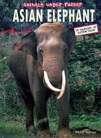 Asian Elephant