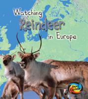 Watching Reindeer in Europe