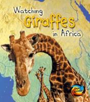 Watching Giraffes in Africa