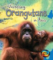Watching Orangutans in Asia