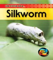 Life Cycle of A-- Silkworm