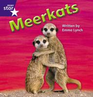 Meerkats