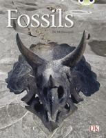 Bug Club Guided Non Fiction Year Two Gold A Fossils