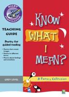 Know What I Mean? Teaching Guide