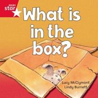 What Is in the Box?