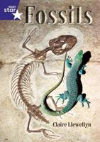 Rigby Star Shared Y2/P3 Non-Fiction: Fossils Shared Reading Pack Framework Edition