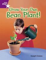 Grow Your Own Bean Plant!