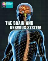PYP L10 Brain and Nervous System 6PK