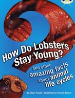 How Do Lobsters Stay Young? And Other Amazing Facts About Animal Life Cycles