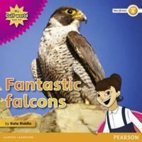 Fantastic Falcons