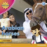 Arabian Horses