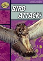 Bird Attack!