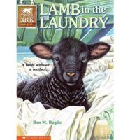 Lamb in the Laundry