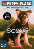 Scout