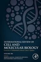 Overview of Inflammatory Breast Cancer: Updates. Volume 384