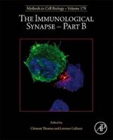 The Immunological Synapse. Part B