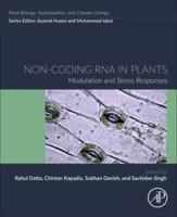 Non-Coding RNA in Plants