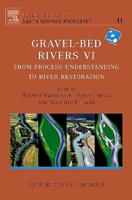 Gravel Bed Rivers VI
