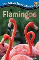 Flamingos