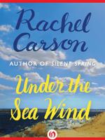 Under the Sea Wind