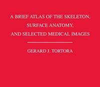 A Brief Atlas of the Human Skeleton, Surface Anatomy, and Selected Medical Images