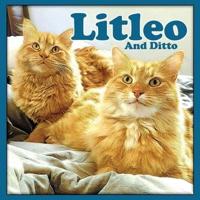 Litleo And Ditto