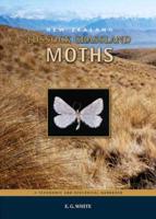 New Zealand Tussock Grassland Moths
