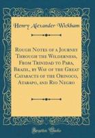 Rough Notes of a Journey Through the Wilderness, from Trinidad to Parï¿½, Brazil, by Way of the Great Cataracts of the Orinoco, Atabapo, and Rio Negro (Classic Reprint)