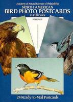 North American Bird Photo Postcards in Full Colour