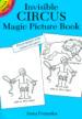 Invisible Circus Magic Picture Book