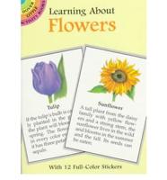 Learning About Flowers